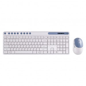Комплект клавиатура+мышь мультимедийный Smartbuy 107AG бело-голубой (SBC107AGW)