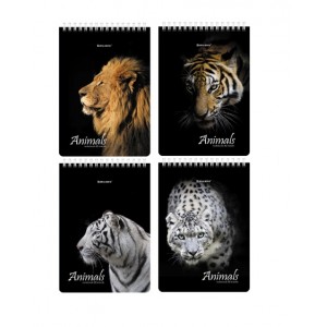 Блокнот А5 146х206мм, 80л, гребень, картон, жесткая подложка, клетка, BRAUBERG, Хищники,